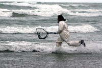 Rena Oil Spill Disaster, Tauranga, NZ