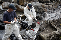 Rena Oil Spill Disaster, Tauranga, NZ