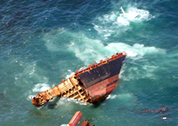 Rena Oil Spill Disaster, Tauranga, NZ