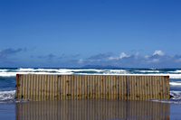 Rena Oil Spill Disaster, Tauranga, NZ