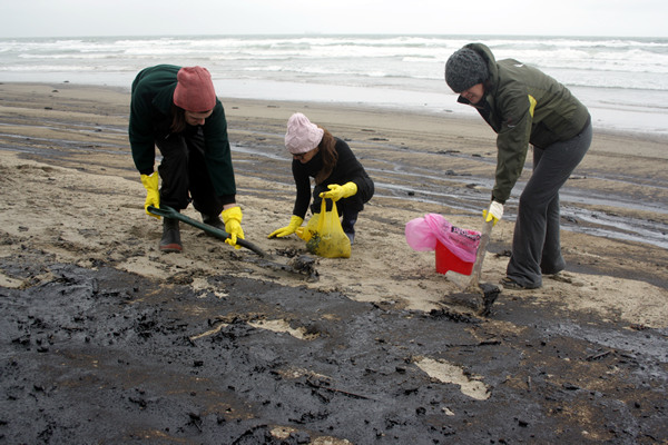 Rena Disaster, Oil Spill, Tauranga, New Zealand