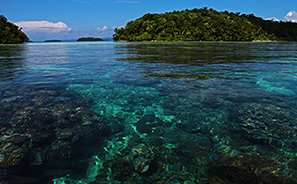 Solomon Islands : Travel :  Photos : Richard Moore : Photographer