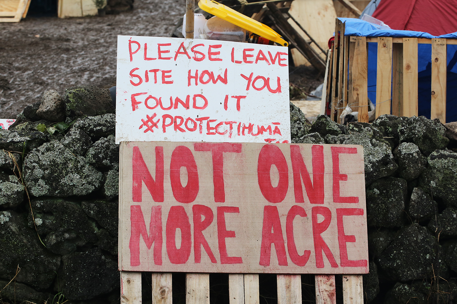 Maori Land Protest : Ihumatao : Auckland : New Zealand : Richard Moore : Journalist : Photographer :