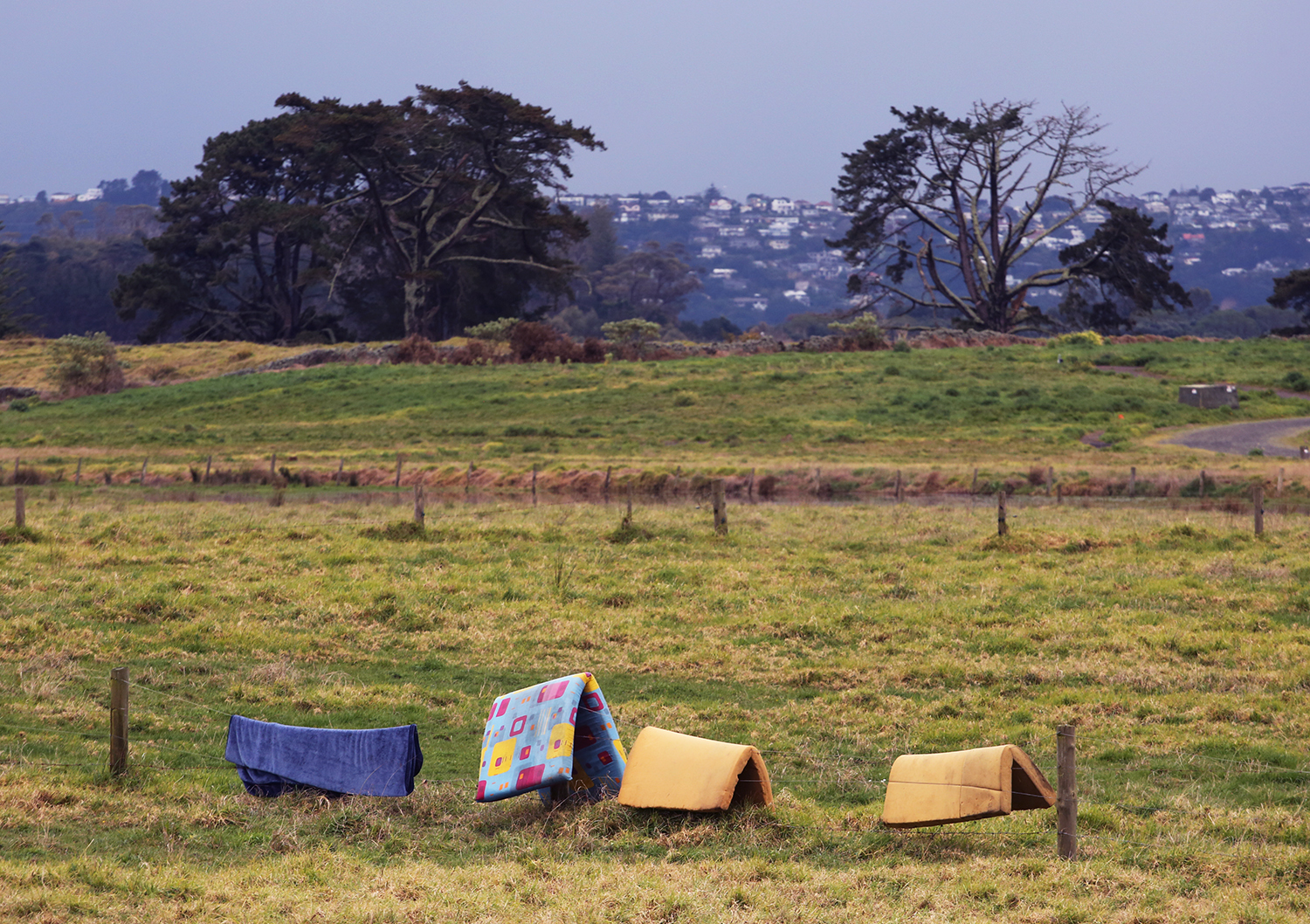 Maori Land Protest : Ihumatao : Auckland : New Zealand : Richard Moore : Journalist : Photographer :