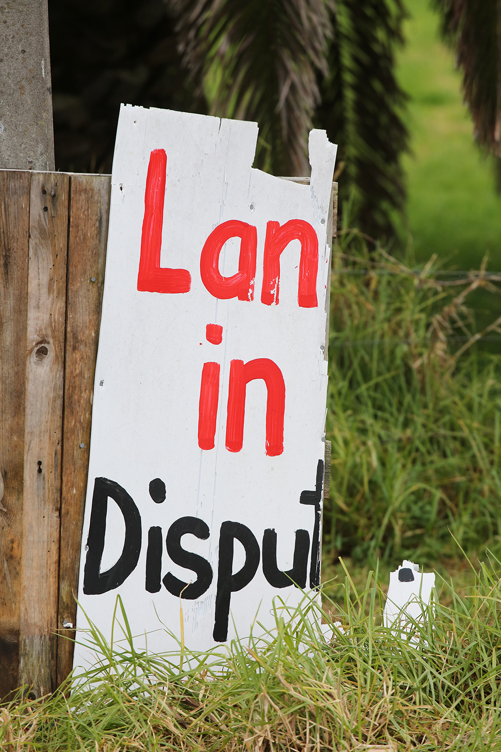 Maori Land Protest : Ihumatao : Auckland : New Zealand : Richard Moore : Journalist : Photographer :