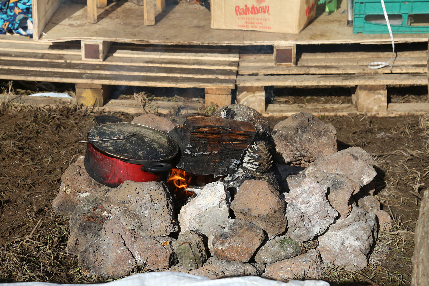 Maori Land Protest : Ihumatao : Auckland : New Zealand : Richard Moore : Journalist : Photographer :