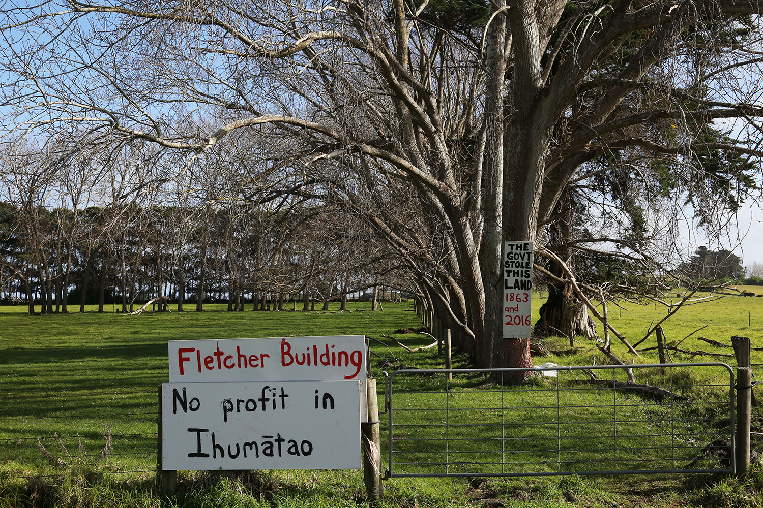 Maori Land Protest : Ihumatao : Auckland : New Zealand : Richard Moore : Journalist : Photographer :