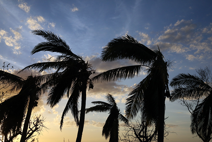 Cyclone Winston damage. Yasawa  Islands, Fiji
