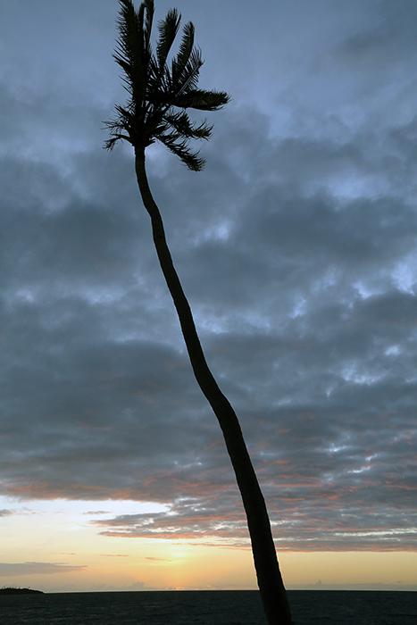 Cyclone Winston damage. Yasawa  Islands, Fiji