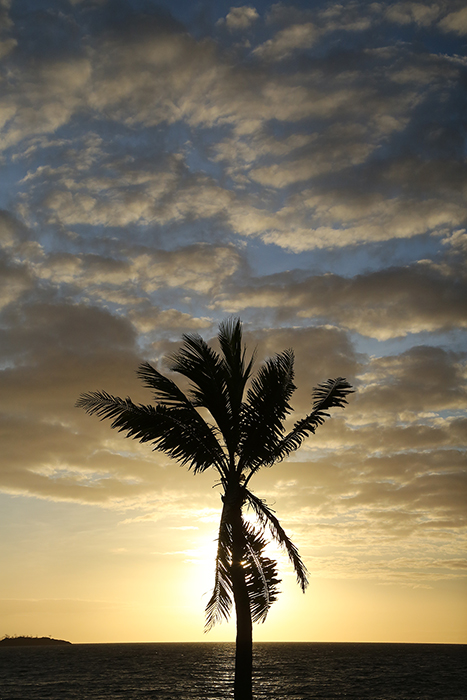 Cyclone Winston damage. Yasawa  Islands, Fiji