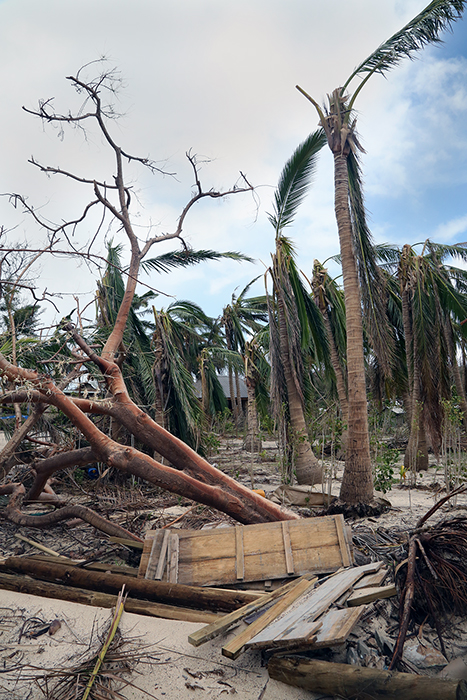 Cyclone Winston damage. Yasawa  Islands, Fiji