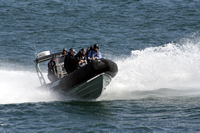 Rena Oil Spill Disaster, Tauranga, NZ