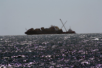Rena Oil Spill Disaster, Tauranga, NZ