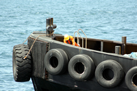 Rena Oil Spill Disaster, Tauranga, NZ