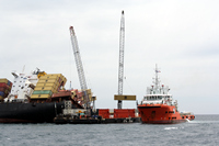 Rena Oil Spill Disaster, Tauranga, NZ