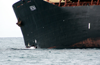 Rena Oil Spill Disaster, Tauranga, NZ