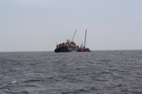 Rena Oil Spill Disaster, Tauranga, NZ