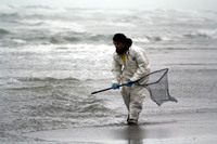Rena Oil Spill Disaster, Tauranga, NZ