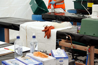 Rena Oil Spill Disaster, Tauranga, NZ