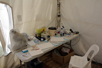 Oiled Wildlife Centre, Rena Oil Spill Disaster, Tauranga, NZ