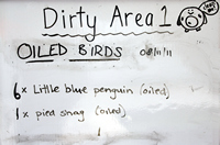 Oiled Wildlife Centre, Rena Oil Spill Disaster, Tauranga, NZ