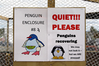 Oiled Wildlife Centre, Rena Oil Spill Disaster, Tauranga, NZ