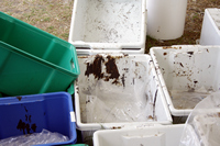 Oiled Wildlife Centre, Rena Oil Spill Disaster, Tauranga, NZ