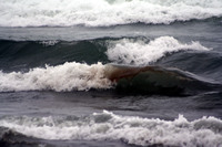 Rena Oil Spill Disaster, Tauranga, NZ