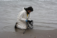 Rena Oil Spill Disaster, Tauranga, NZ