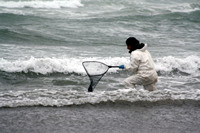 Rena Oil Spill Disaster, Tauranga, NZ