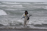Rena Oil Spill Disaster, Tauranga, NZ