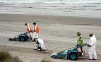 Rena Oil Spill Disaster, Tauranga, NZ