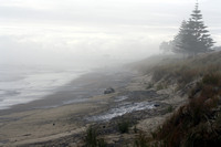 Rena Oil Spill Disaster, Tauranga, NZ