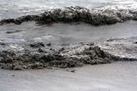 Rena Oil Spill Disaster, Tauranga, NZ