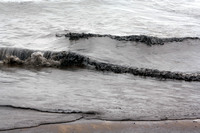 Rena Oil Spill Disaster, Tauranga, NZ