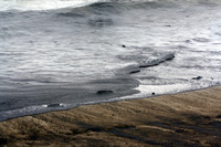 Rena Oil Spill Disaster, Tauranga, NZ