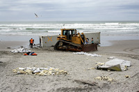 Rena Oil Spill Disaster, Tauranga, NZ
