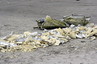 Rena Oil Spill Disaster, Tauranga, NZ