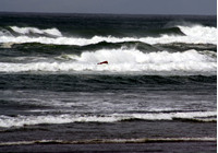 Rena Oil Spill Disaster, Tauranga, NZ