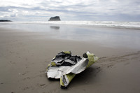 Rena Oil Spill Disaster, Tauranga, NZ