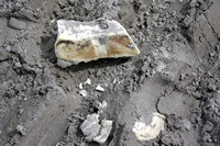 Rena Oil Spill Disaster, Tauranga, NZ