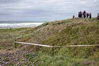 Rena Oil Spill Disaster, Tauranga, NZ