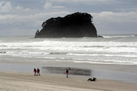 Rena Oil Spill Disaster, Tauranga, NZ