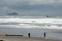 Rena Oil Spill Disaster, Tauranga, NZ