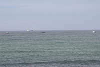 Rena Oil Spill Disaster, Tauranga, NZ
