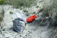 Rena Oil Spill Disaster, Tauranga, NZ