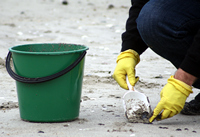 Rena Oil Spill Disaster, Tauranga, NZ