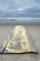 Rena Oil Spill Disaster, Tauranga, NZ