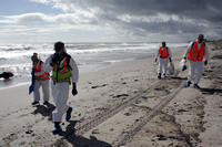 Rena Oil Spill Disaster, Tauranga, NZ