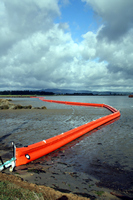 Rena Oil Spill Disaster, Tauranga, NZ